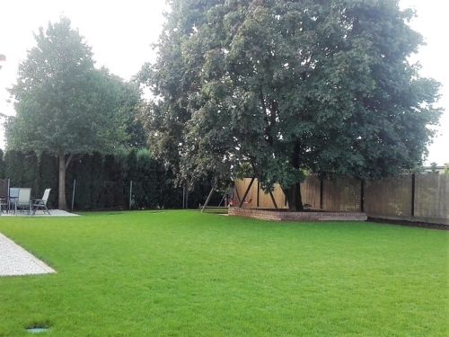 mały ogród z drzewami trawnikiem projekt wykonanie