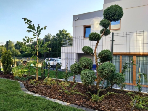projekt ogrodu miejskiego z dużym trawnikiem lublin